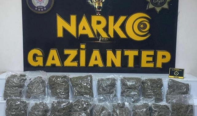 8 kilo 550 gram skunk ele geçirildi: 2 gözaltı