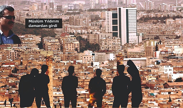 Beyaz Urfalıların soyları tükeniyor