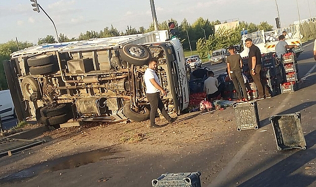 Domates yüklü kamyonet devrildi