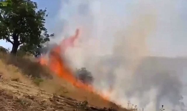 Fıstık bahçeleri yanıyor, ekipler müdahale ediyor