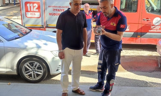 İki duvar arasına sıkışan yavru kedi kurtarıldı