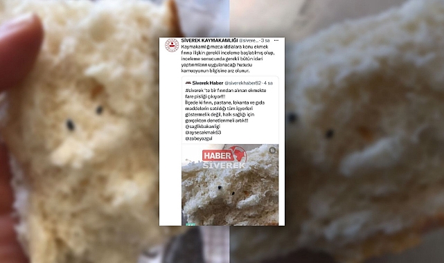 Siverek’te iğrenç olay!