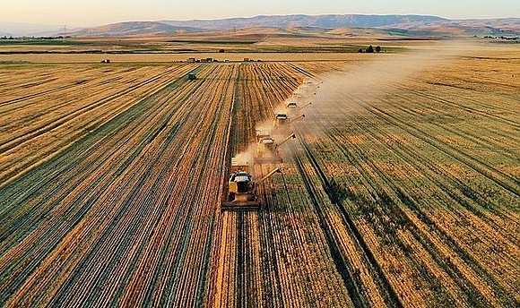 Tarımsal girdi fiyatları yıllık yüzde 33,22 arttı