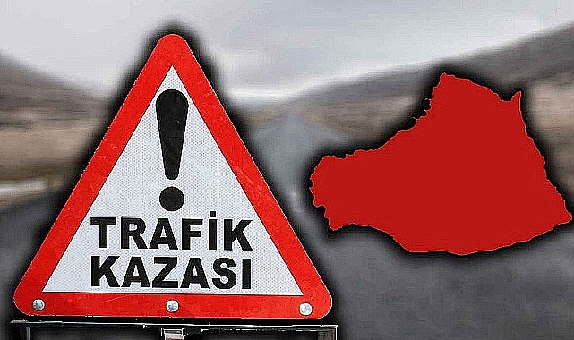 Urfa'da feci ölüm!
