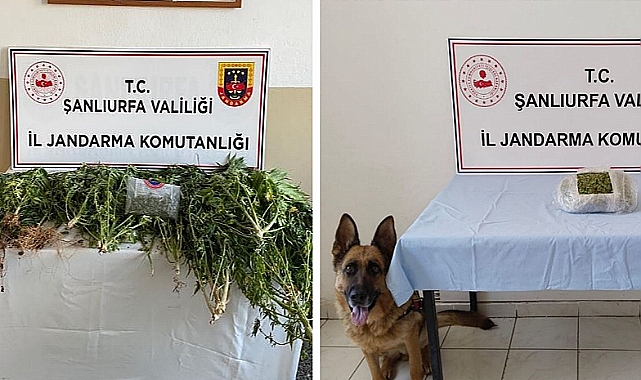 Urfa'da uyuşturucu operasyonu
