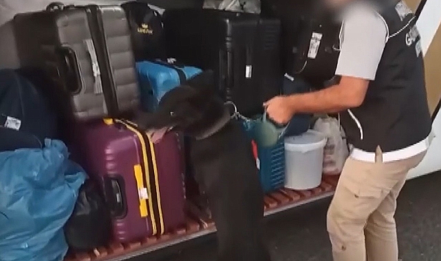 6 kilo skunk ele geçirildi