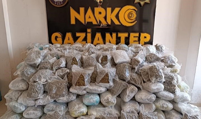 81 kilo skunk ele geçirildi