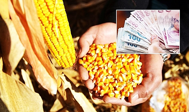 Açıklanan mısır fiyatları tepkilere neden oldu !