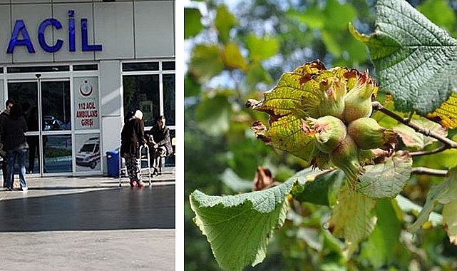 Boğazına fındık kaçan çocuk hayatını kaybetti