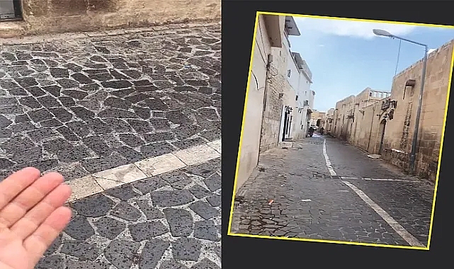 'Bu sıcaklara dayanamadı, ağladı Urfa'