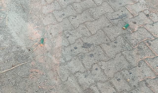 Dayı ile yeğen arasındaki arazi kavgası kanlı bitti: 1 ölü