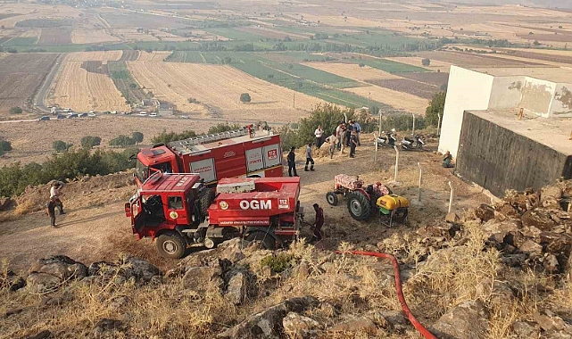 Gaziantep’te düşen yıldırım ormanlık alanı yaktı