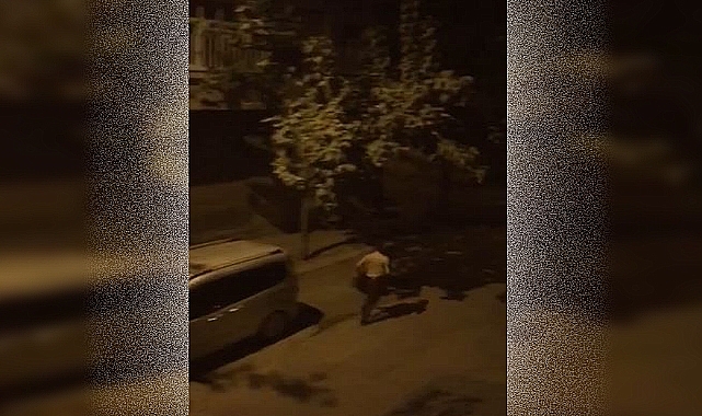Gece bekçileri firari hükümlüyü yakaladı
