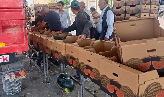 İhracatlık karpuzda hasat dönemi başladı