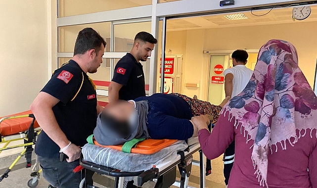 İncir ağacından düşen kadın yaralandı