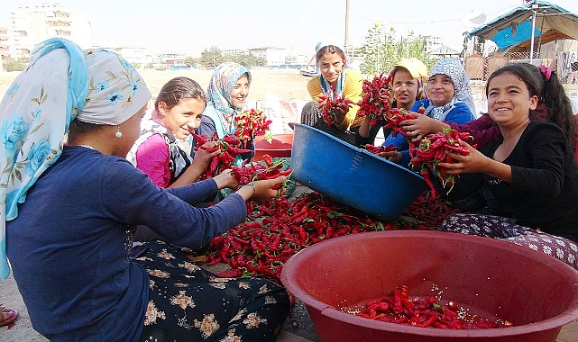 'İsot çıkarmak' da artık lüks oldu