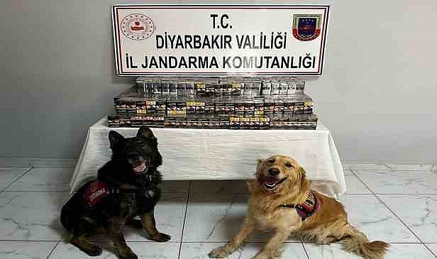 Jandarma ekipleri kaçakçılara geçit vermiyor