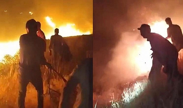 Karacadağ Bal Ormanı'nda yangın
