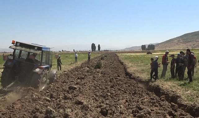 Meyan kökü bölgenin geçim kaynağı oldu