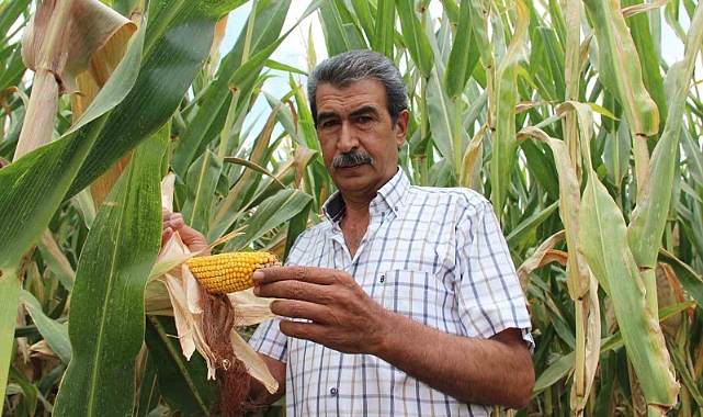 Mısır üreticisi fiyatların yeniden gözden geçirilmesini istedi