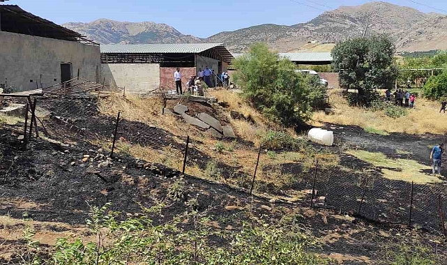 Sason’da başlayan yangın evlere metreler kala söndürüldü