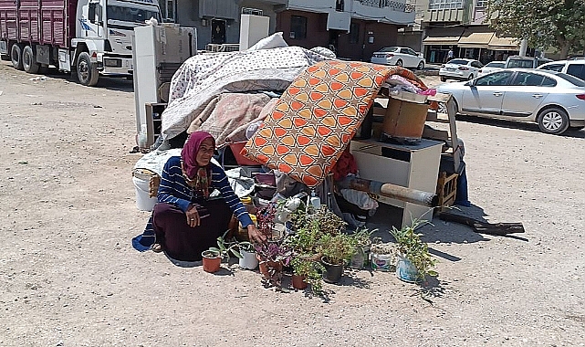Sokakta yaşam mücadelesi veren yaşlı kadın, yardım bekliyor