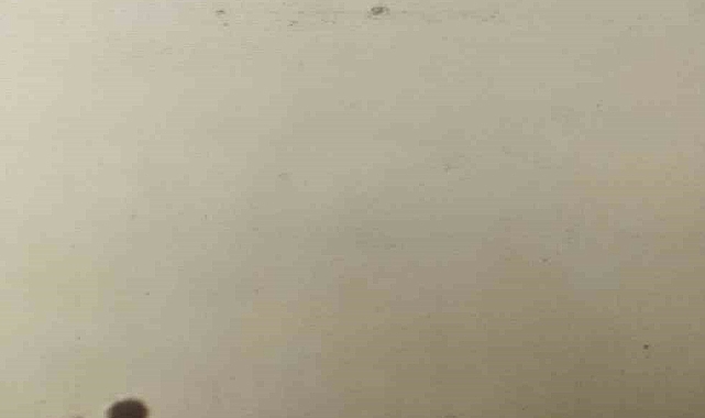 Toz taşınımı hayatı olumsuz etkiledi