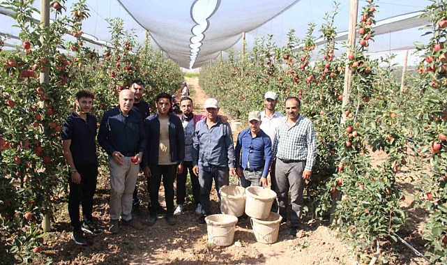 Türkiye’nin elma deposu Karaman’da 55 gün sürecek olan elma hasadı başladı