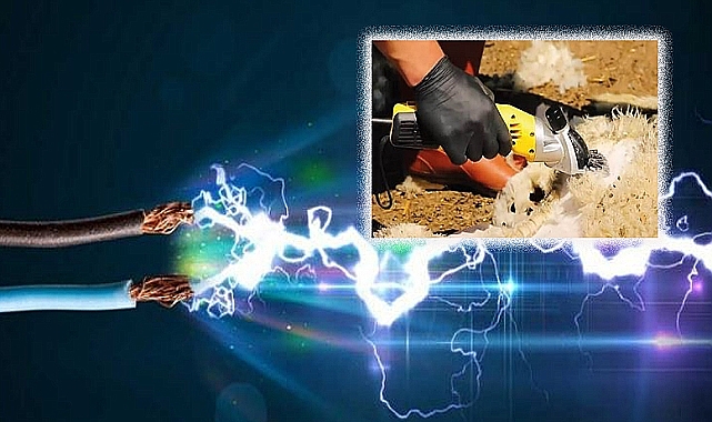 Urfa'da feci ölüm