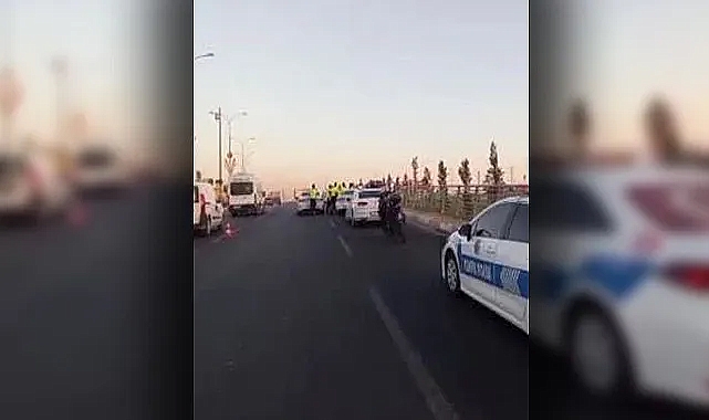 Urfa'da yunus ekipleri kamyona arkadan çarptı