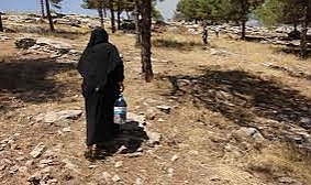 Vatandaşlar orman yangını için seferber oldu