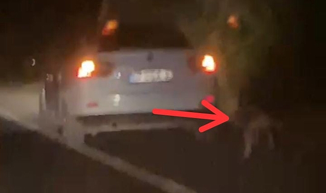 Vicdansızlığın bu kadarı!
