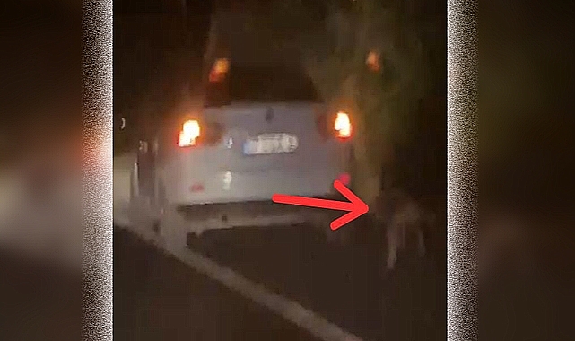 Vicdansızlığın bu kadarı pes dedirtti !