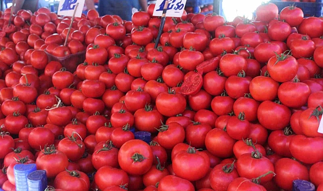 Yaz yemeği menemen vatandaşın vazgeçilmesi