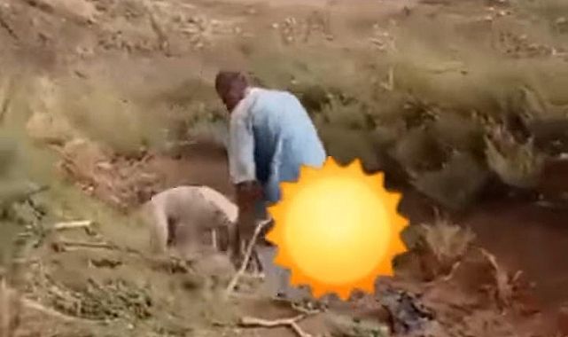 Yer Urfa: köpeğe tecavüz ederken yakalandı!
