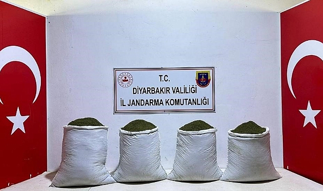 117 kilo esrar ele geçirildi