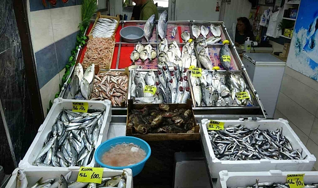 "Denizlerin prensi" 600 liradan tezgahta