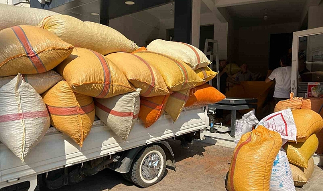 Fındık üreticileri fiyatların yükselmesini bekliyor