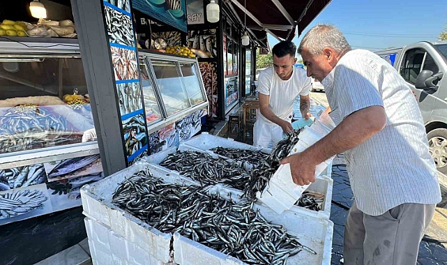 Hamsi fiyatı 20 liraya kadar düştü
