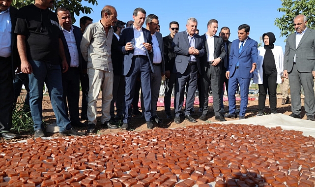 Hilvan'da bağbozumu ve şire etkinliği