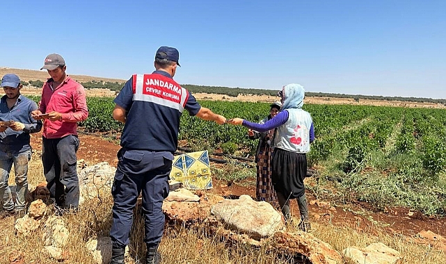 Jandarma, çiftçileri anız yangınına karşı broşür ile uyardı