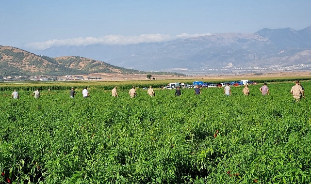 Kaybolan küçük Meryem termal kamera ile bulundu