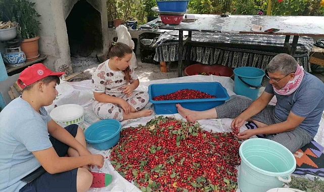 Kızılcık üretimi düştü, fiyatlar ikiye katlandı