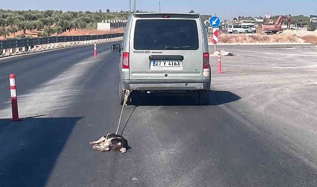 Köpeği aracına bağlayıp sürükledi