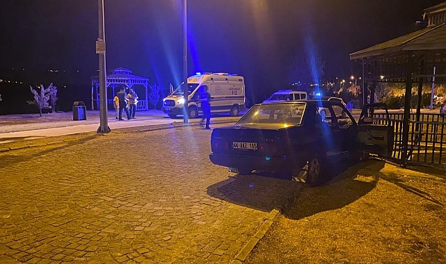 Otomobil kamelyaya çarptı