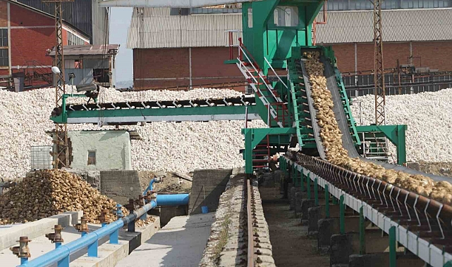 Şeker Fabrikasında şeker pancarı alım kampanyası başladı