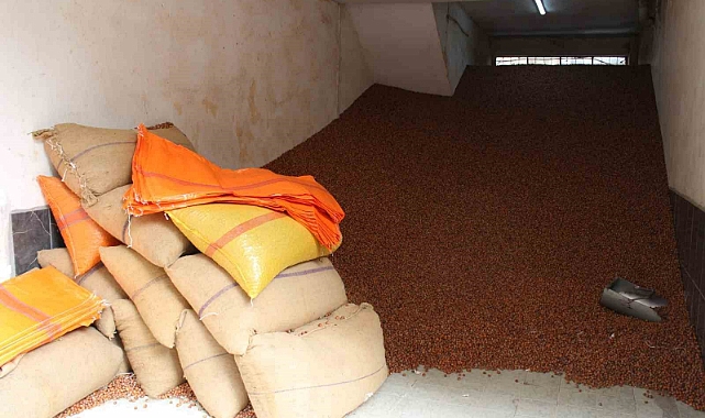 Serbest piyasada fındık 100 TL’ye ulaştı