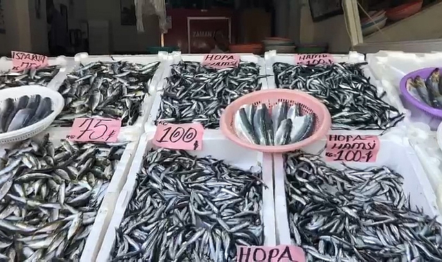 Sezonun ilk yerli hamsisi 100 TL’den tezgahtaki yerini aldı