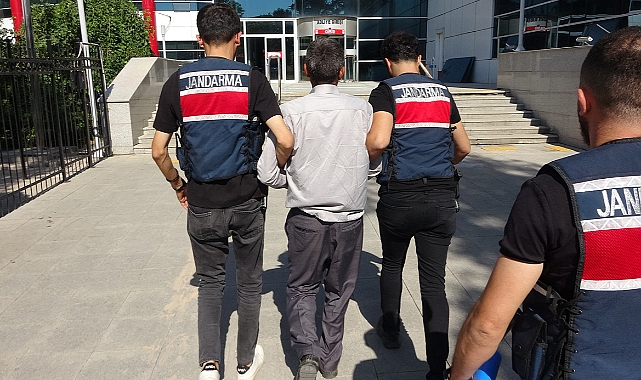 Terör operasyonunda 1 şahıs tutuklandı