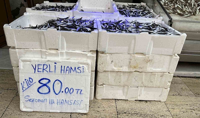 Yeni sezon balıkları tezgahlarda